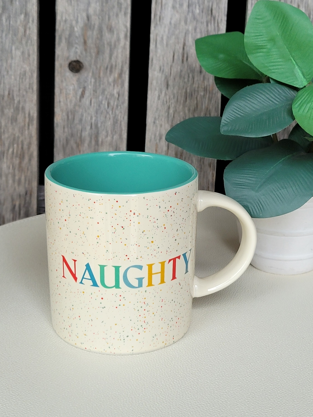 Caribou Cream Speckled Mug Teal Interior Multicolor NAUGHTY & NICE 🦩